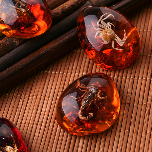 Natural Insects Amber Gemstone