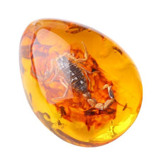 Load image into Gallery viewer, Natural Insects Amber Gemstone