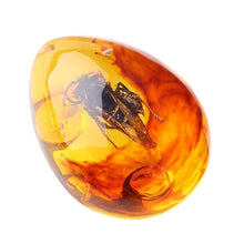 Load image into Gallery viewer, Natural Insects Amber Gemstone