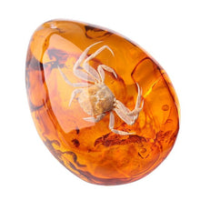 Load image into Gallery viewer, Natural Insects Amber Gemstone