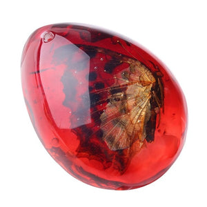 Natural Insects Amber Gemstone