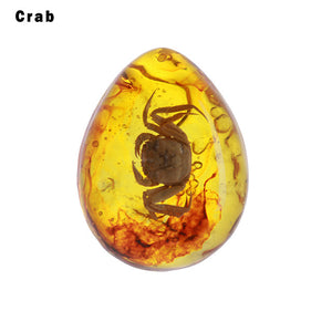Natural Insects Amber Stone