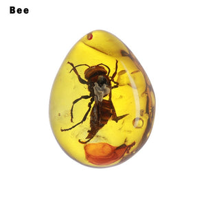 Natural Insects Amber Stone