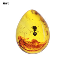 Load image into Gallery viewer, Natural Insects Amber Stone